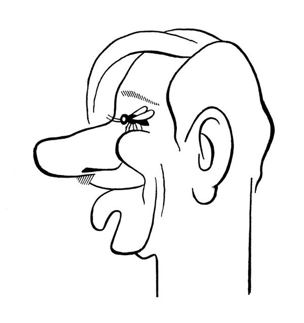 Сделал из мухи слона 