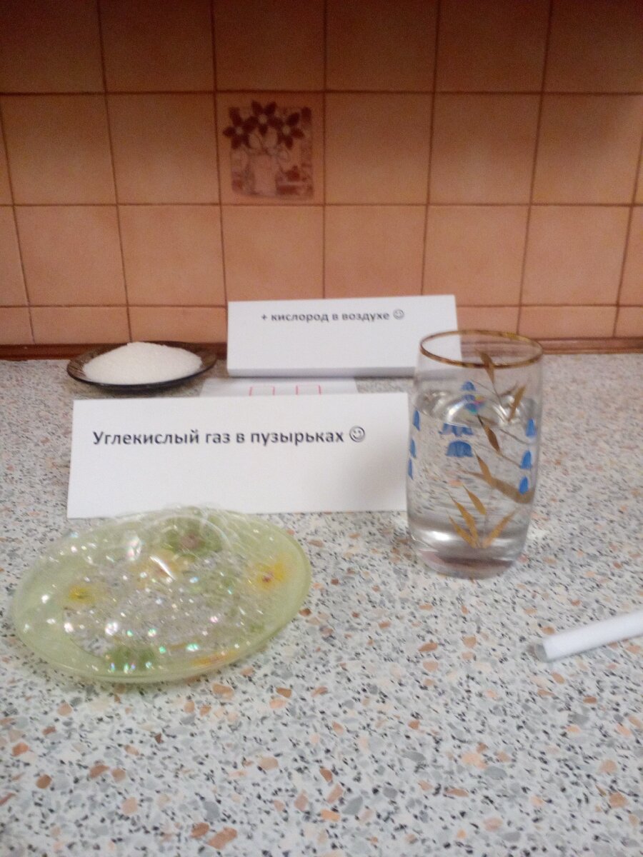 Глюкоза и кислород дадут нам энергию, углекислый газ и воду.