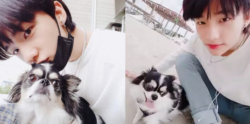 Хёнджин со своей любимицей собачкой Ками