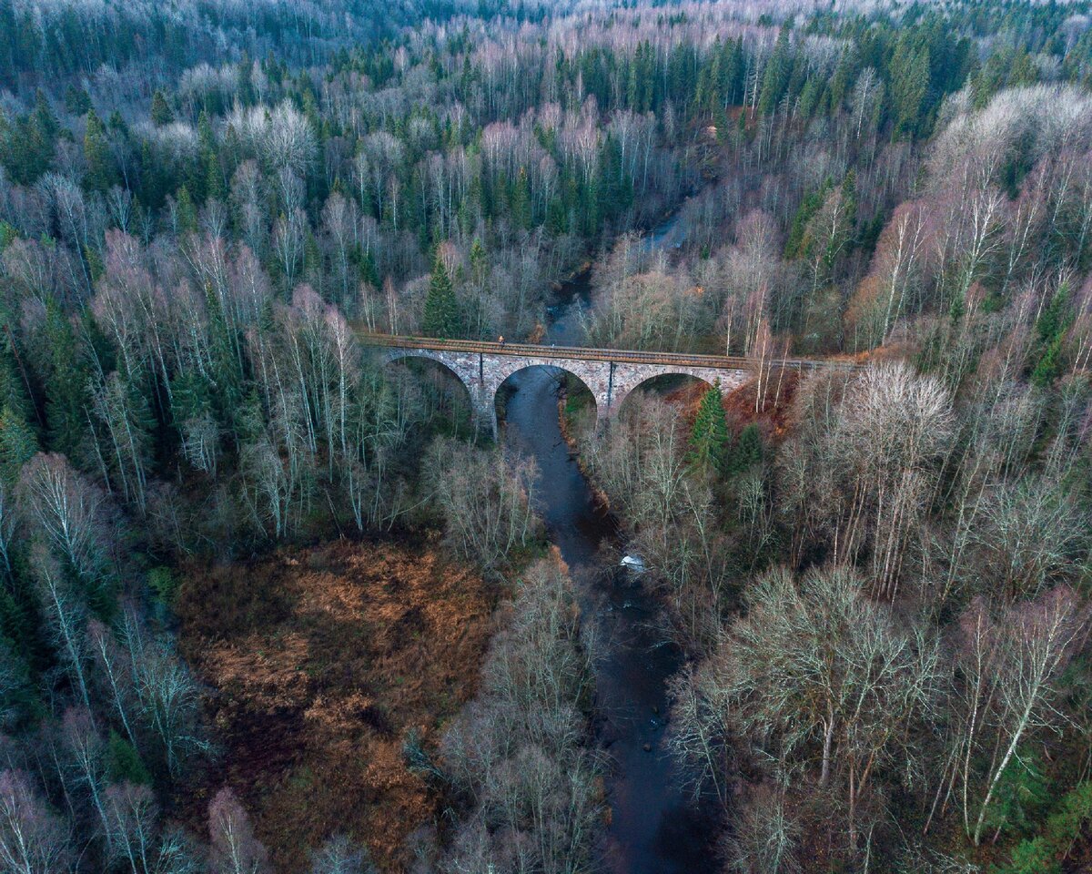 Железнодорожный мост через реку Ярынья