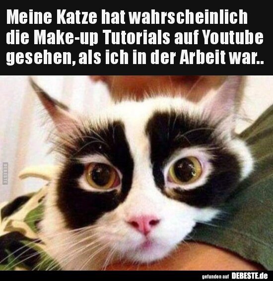 https://debeste.de/49402/Meine-Katze-hat-wahrscheinlich-die-Make-up-Tutorials