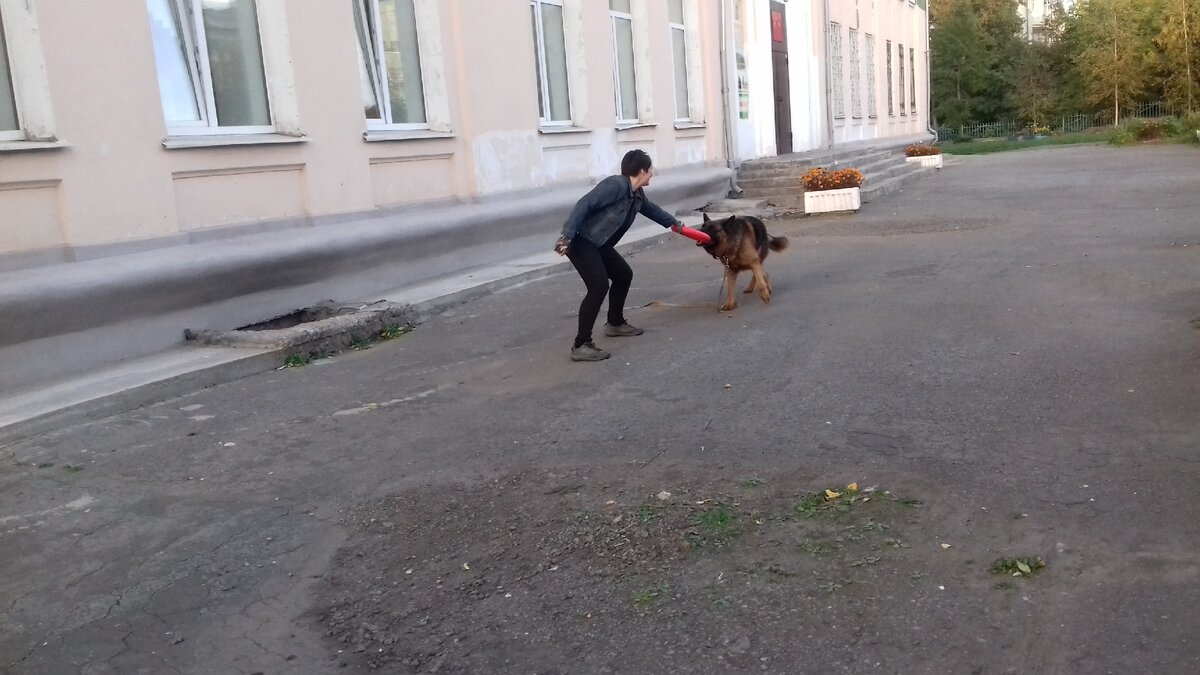 Играем с Эрихом (Диком), осень 2018. Фото сделано подругой. 