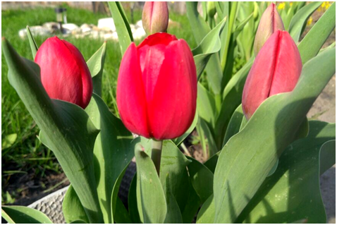 Ставьте лайки и подписывайтесь на мой канал