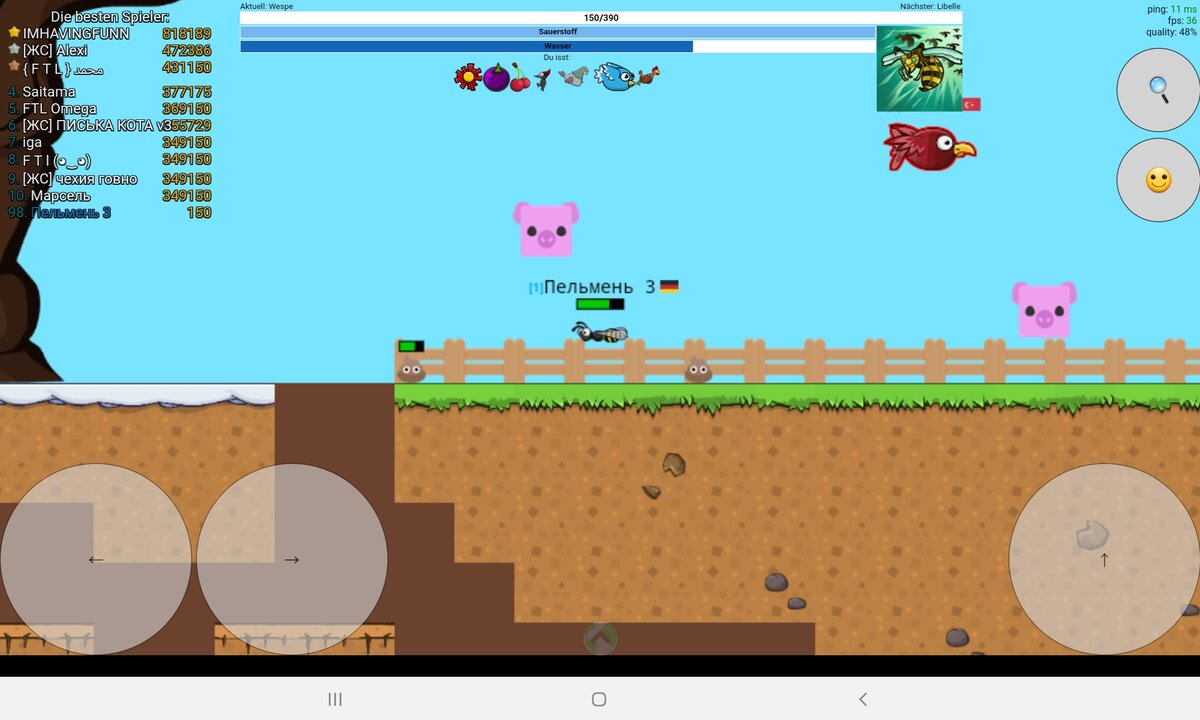 Вон та красная птичка попыталась меня съесть!