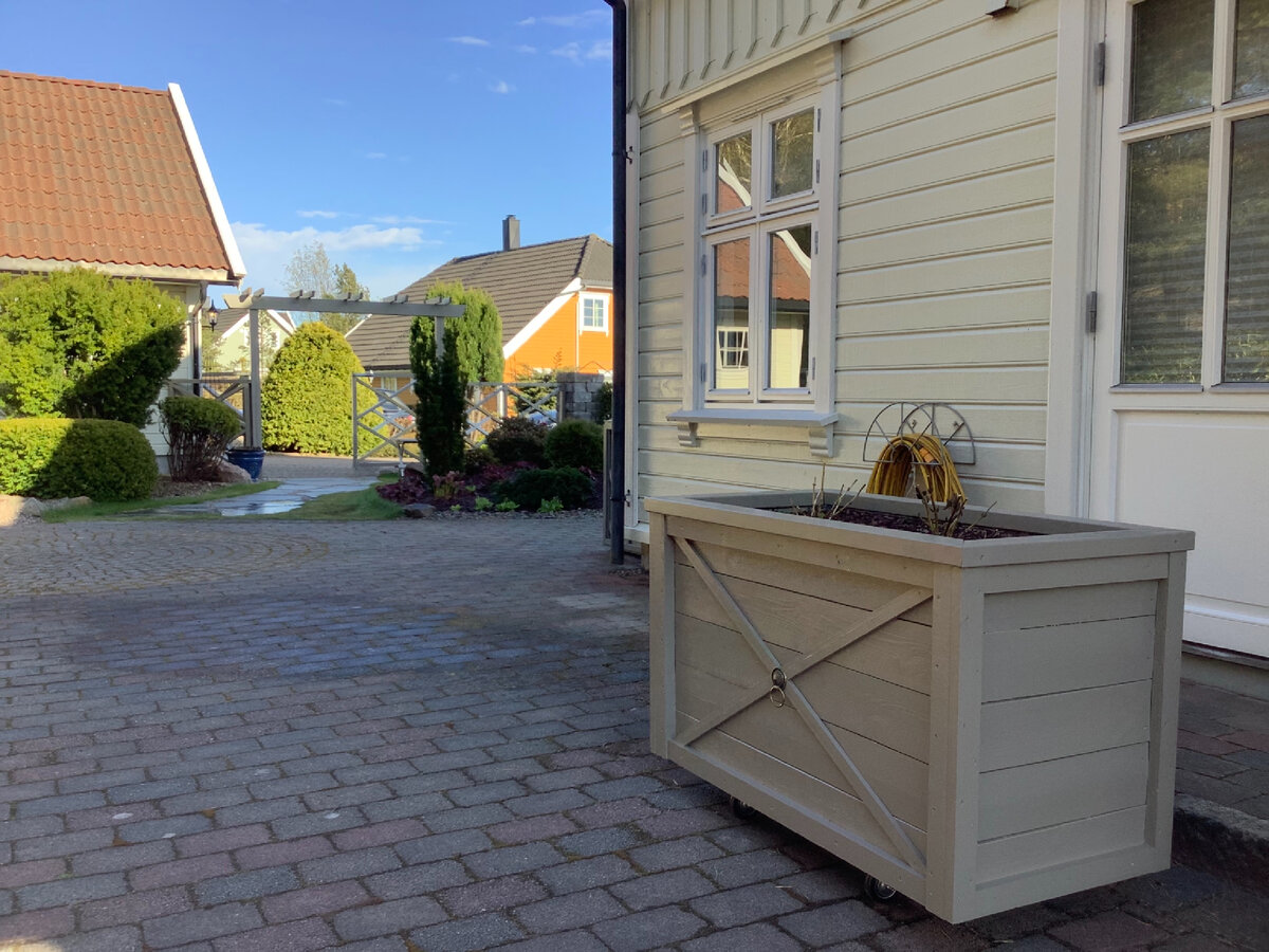 Деревянный контейнер с посаженными гортензиями. Начало мая 2021г.