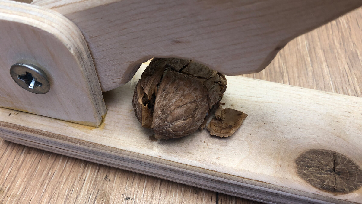 Орех раздавлен!