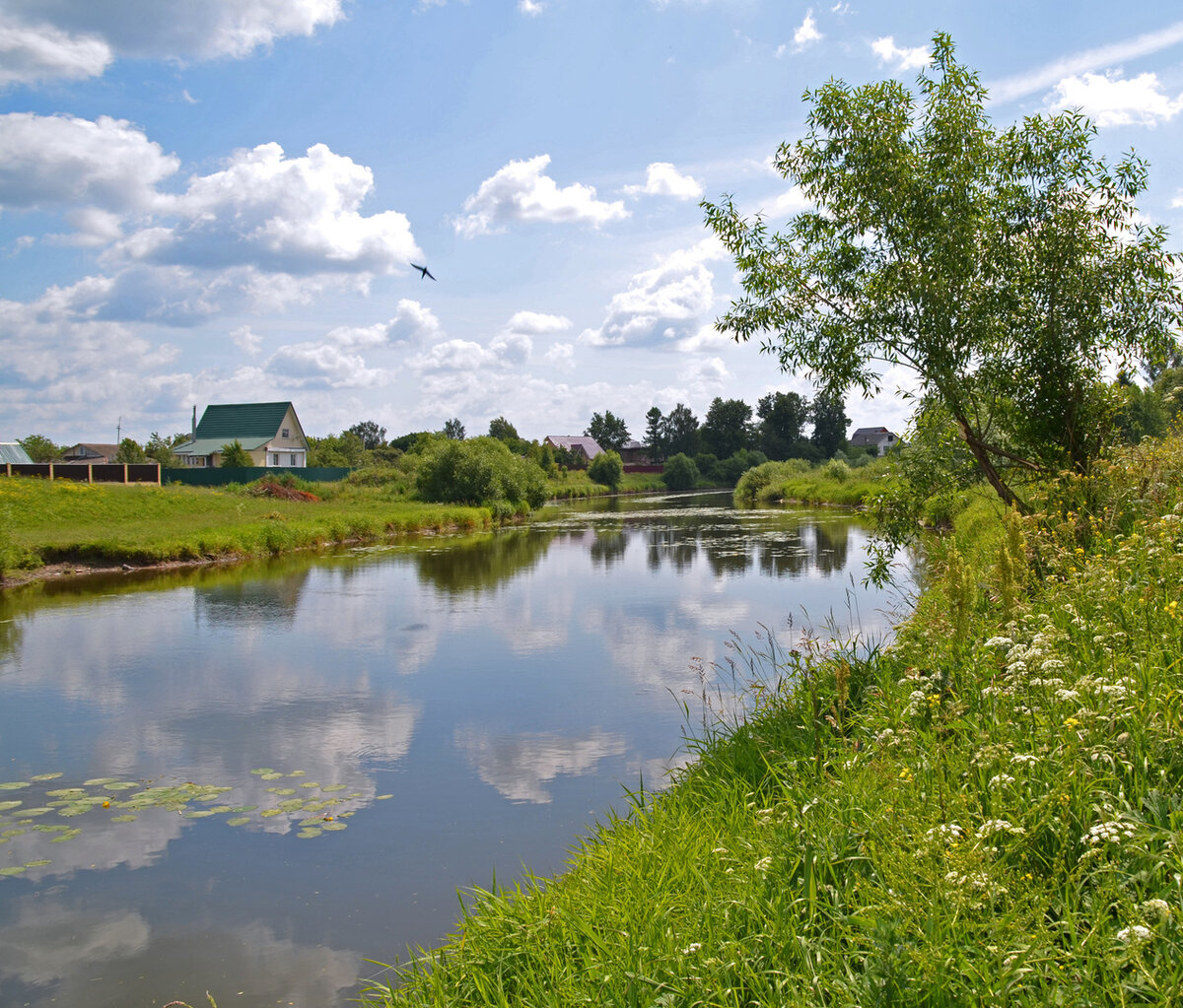 Река Гжати.  Источник: fotoload.ru