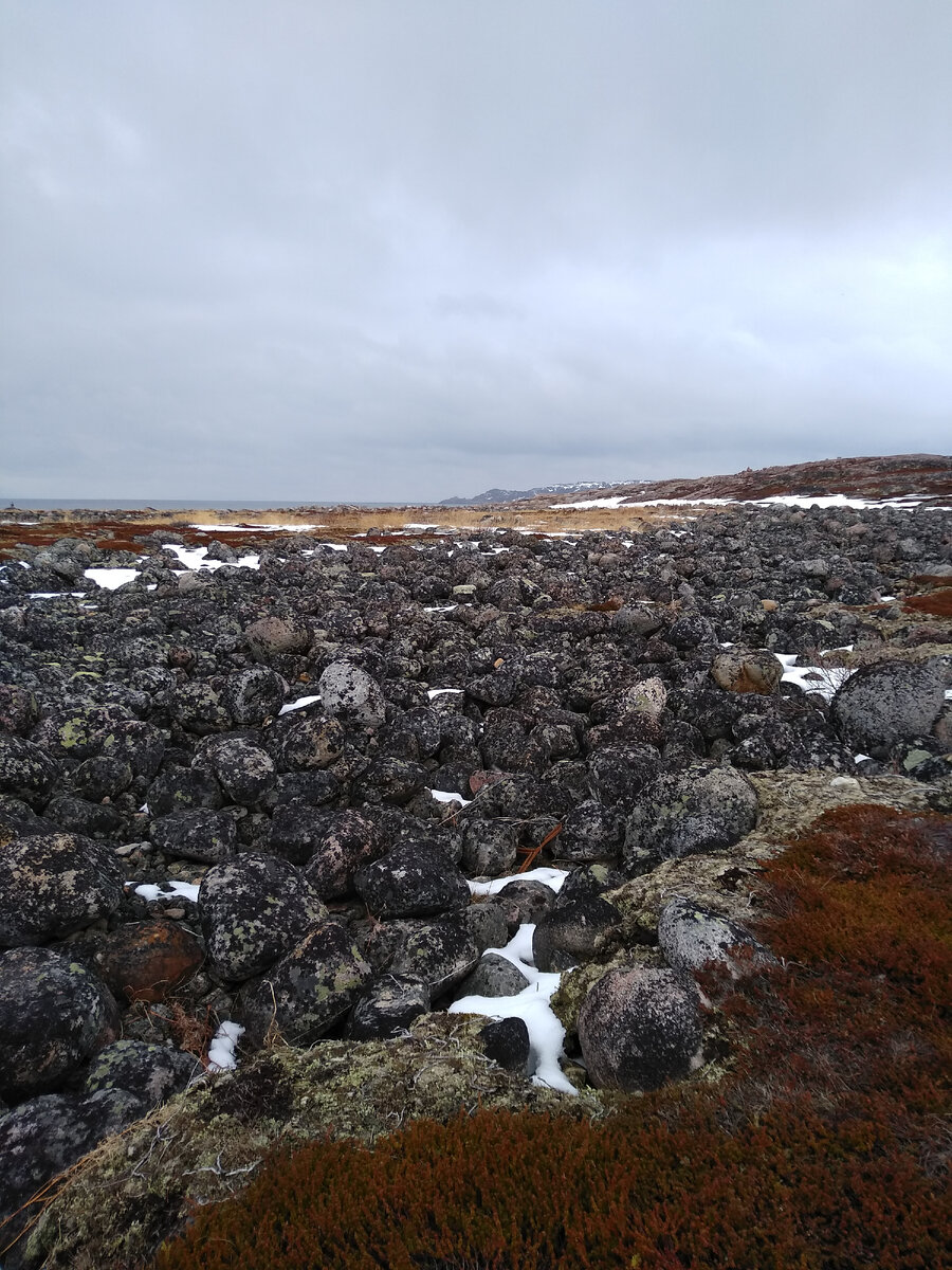 Поле камней.