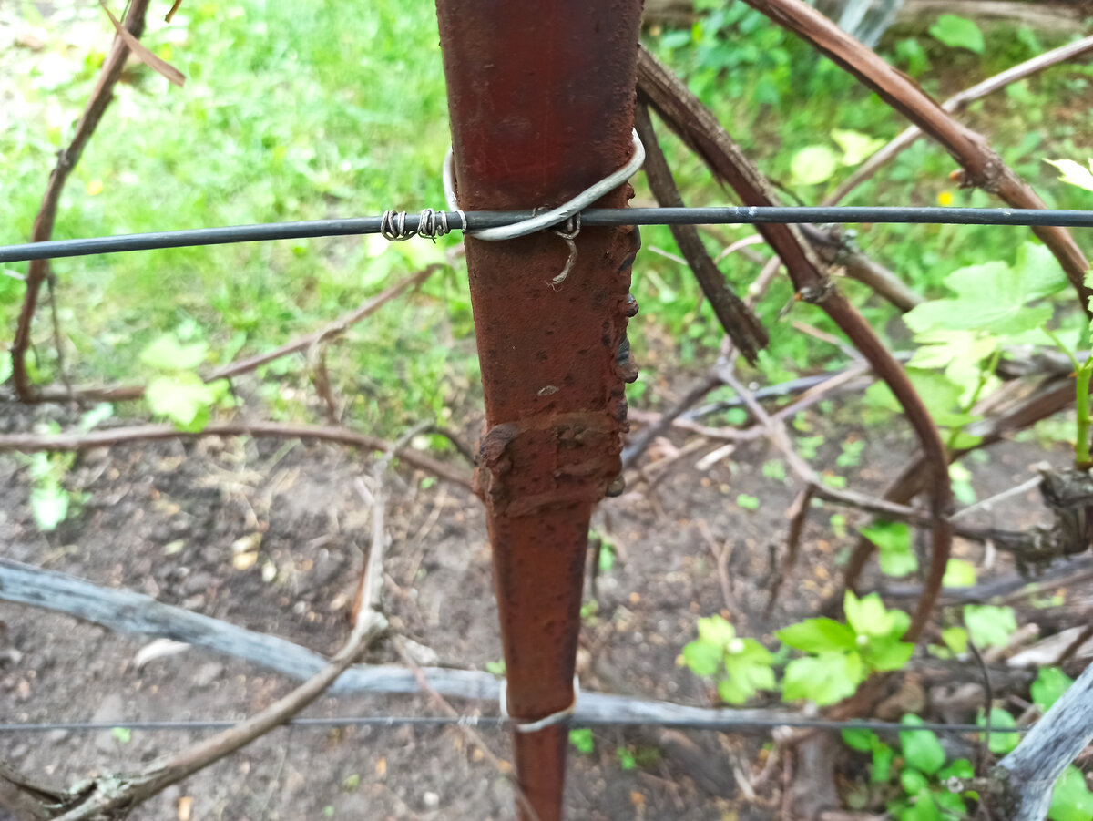 7 бед один ответ