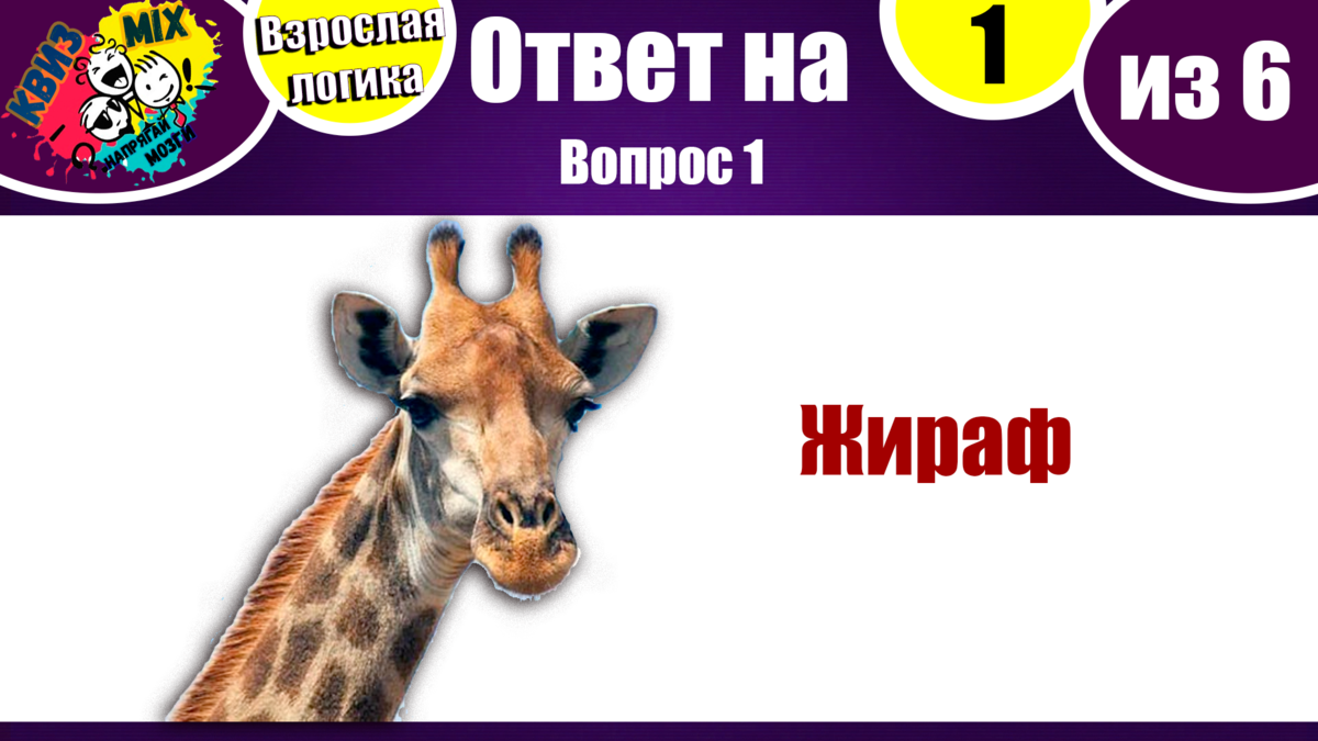 КВИЗ: Чисто на логику #21.☄️ Взрослые вопросы на сообразительность и  эрудицию💥 | КвизMix - Здесь задают вопросы. Тесты и логика. | Дзен