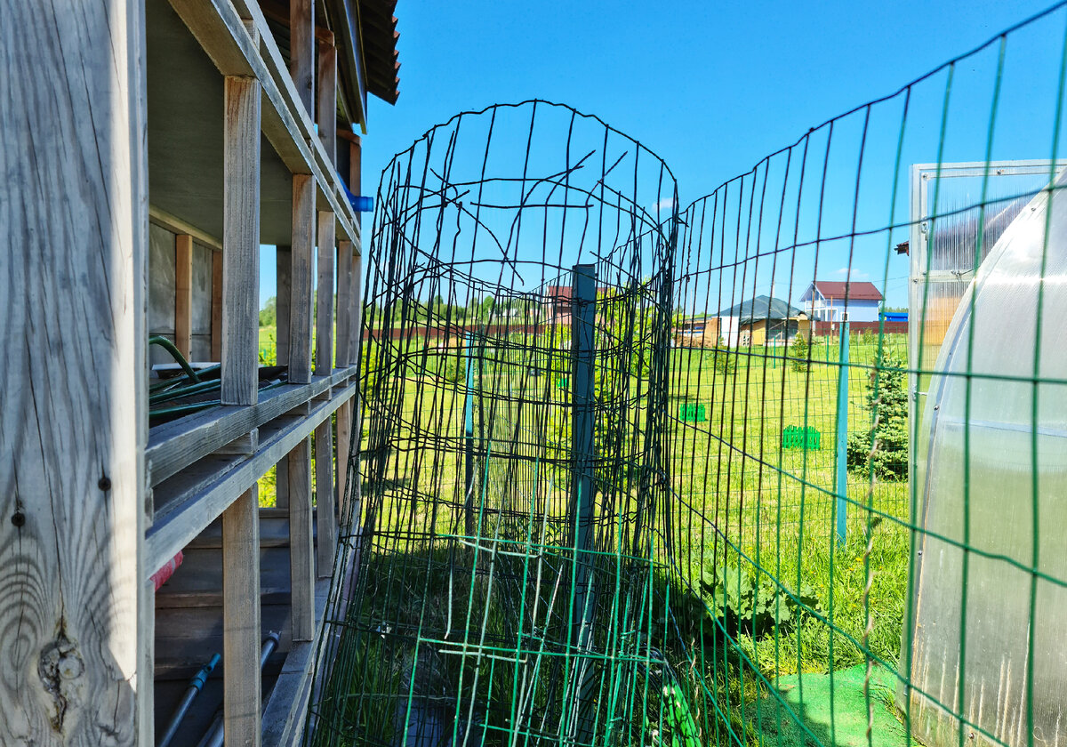 справа - это крольчатник будет, не в этом году, но будет точно