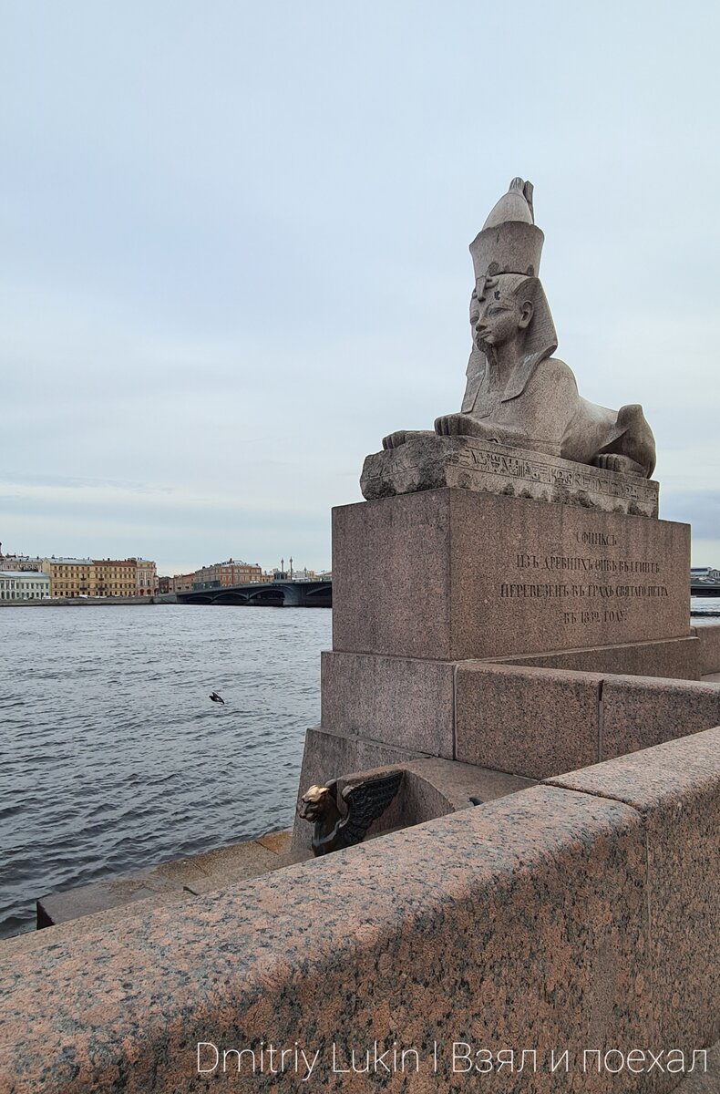 Сфинксы на Университетской набережной