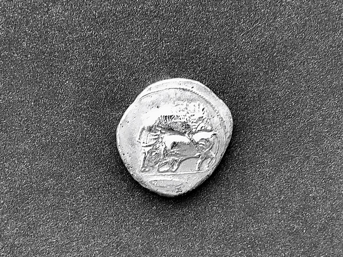 Тетрадра́хма (др.-греч. τετράδραχμον)  – серебряная монета, равная 4-м драхмам