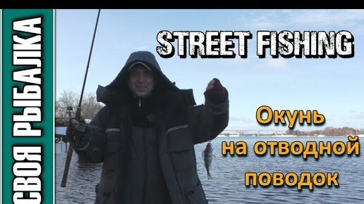 Окунь на отводной поводок. Street fishing Дубна, февраль