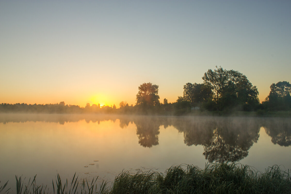 Яндекс-фото