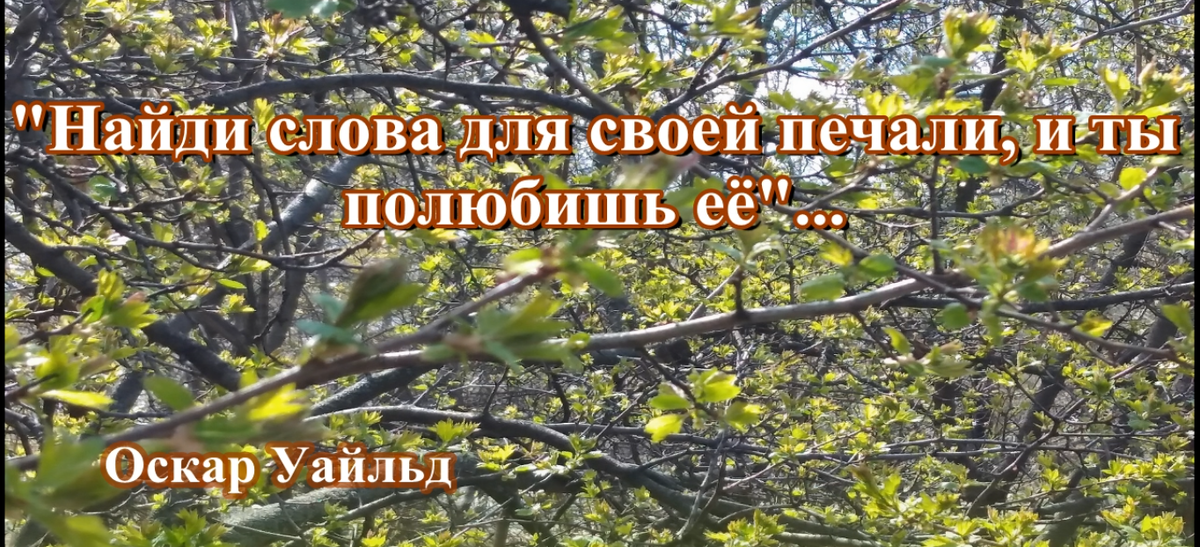 (с) Оскар Уайльд  — ирландский писатель и поэт
