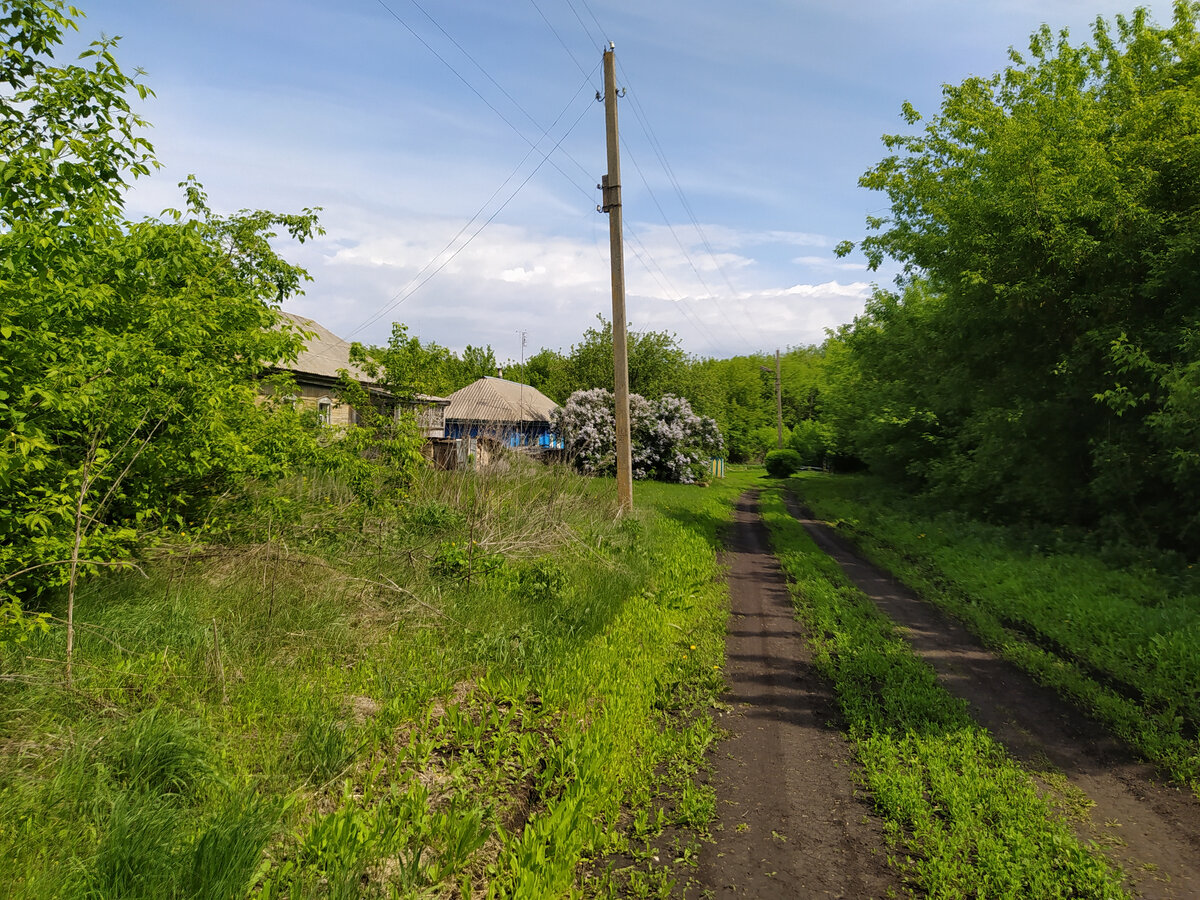 деревня дмитриевка тамбовская область. тамбовская область деревня пески. ни обл. дмитриевка нижегородская область деревня. деревня дмитриевка.