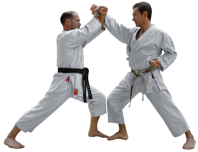 Shotokan Karate пояса