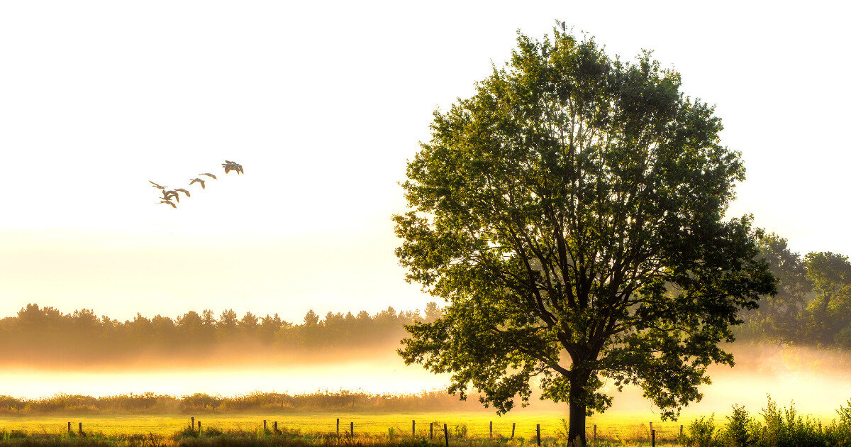Фото: ru.freepik.com