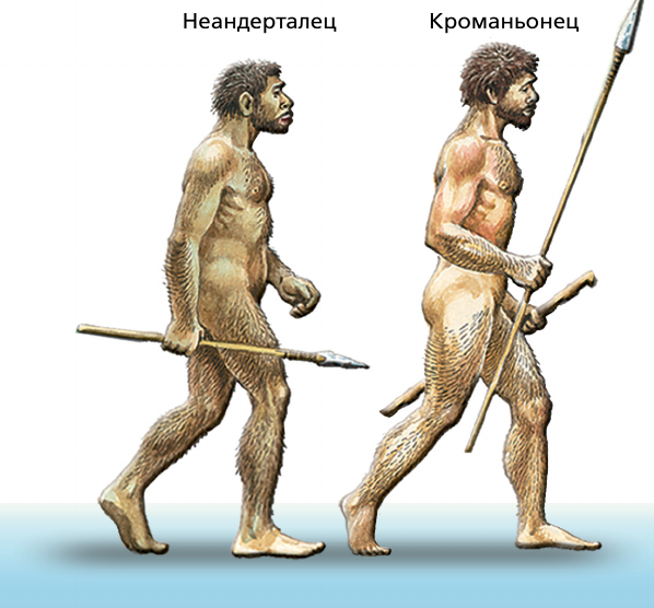 Хомо сапиенс неандерталец кроманьонец. Кроманьонец и неандерталец и дриопитек. Кроманьонец ( homo sapiens). Неандерталец хоосапиенс.