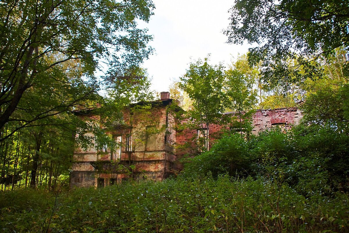 Главный дом усадьбы Куропаткина