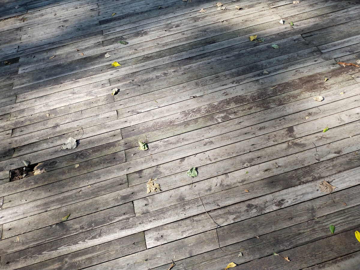 Фото автора канала