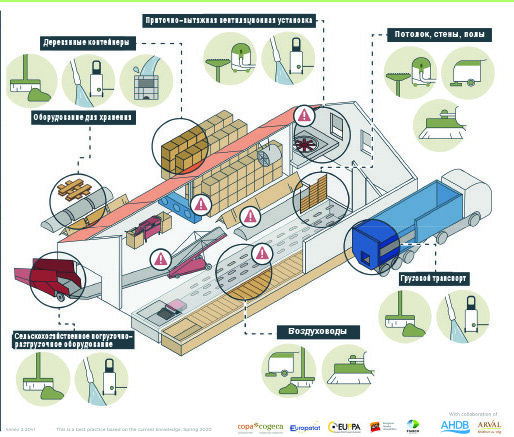 
Ключевые принципы:
— Складские помещения должны быть очищены, как только урожай 2019 года будет выгружен.
— Всегда используйте средства индивидуальной защиты и обращайте внимание на безопасность.
— Храните письменные записи и/или фотографии того, что было очищено, как и когда.
— Очистите сверху донизу (т. е. от крыши до пола).
— Горячие точки: уделяйте больше внимания местам с более высоким уровнем загрязнения.

Методы очистки:
— Сначала используйте методы сухой чистки (веник + пылесос).
— Используйте механические (промышленные) щетки.
— Если сухой чистки недостаточно, позаботьтесь об утилизации сточных вод.
— Соберите сточные воды в резервуар или яму.
— Очистите ящики и оборудование для хранения. Держите их снаружи как можно дольше.
— Постоянно обновляйте воздух в хранилище, оставляя люки и двери открытыми в течение периода, когда помещение свободно от продукции.