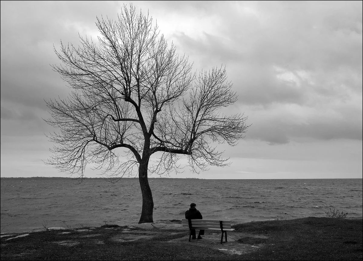 Дерево. Море. Скамейка. Человек