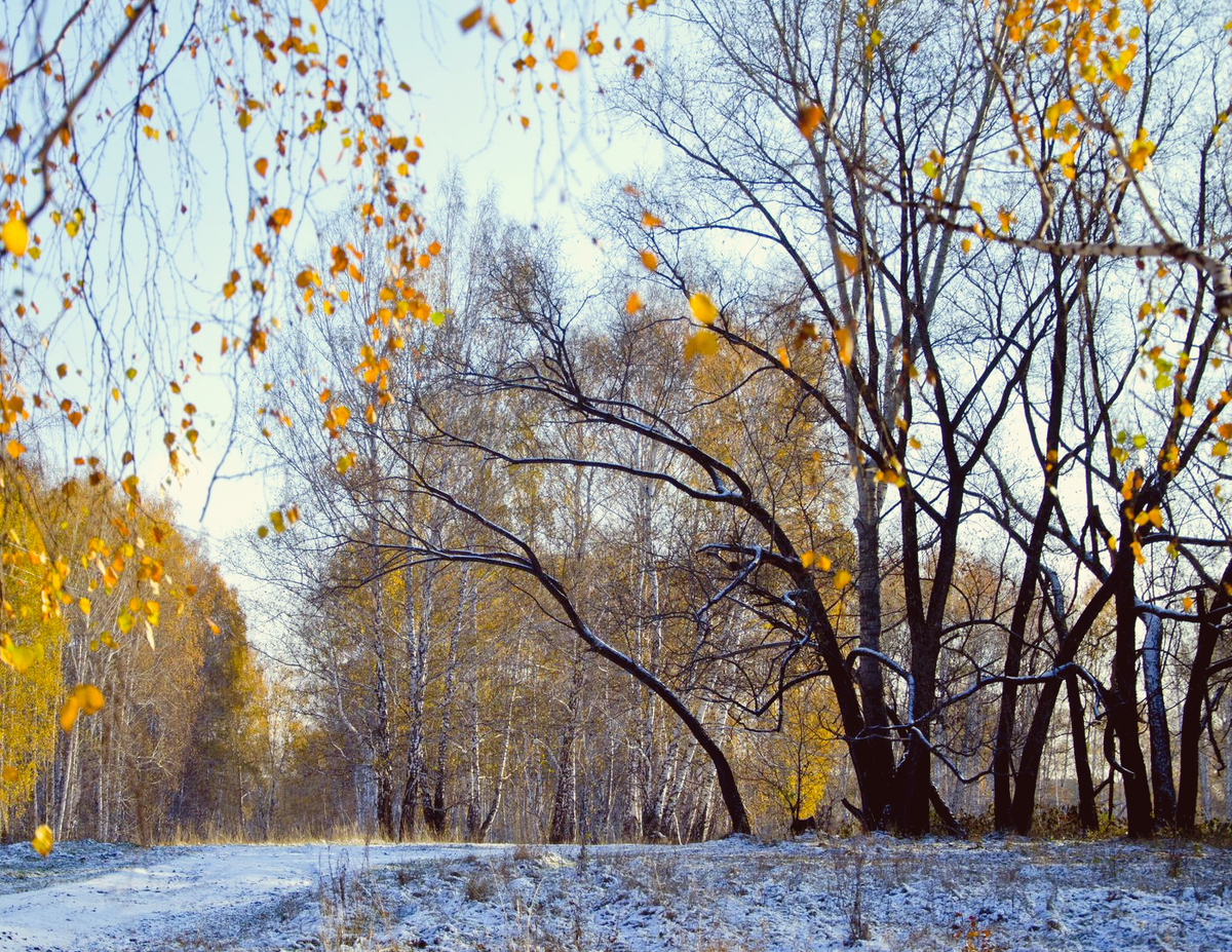 Морозно, ясно, свежо // фото из общедоступных источников сети интернет