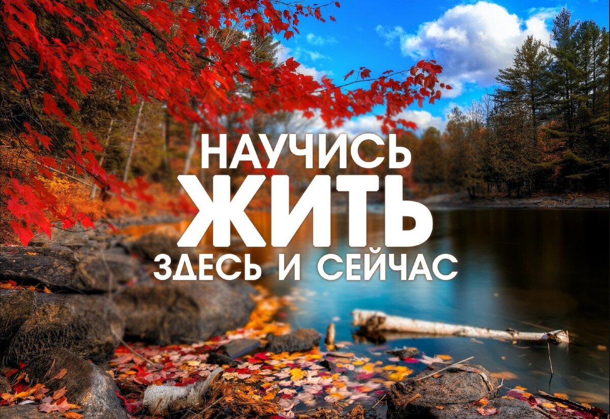 Фото с интернета.