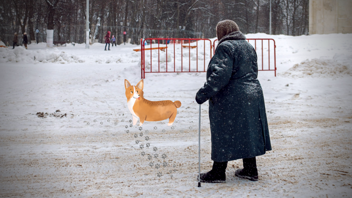 Подписывайтесь на мой канал, так Вы поддержите его и не пропустите новые публикации!Фото взято из свободного доступа сети Интернет