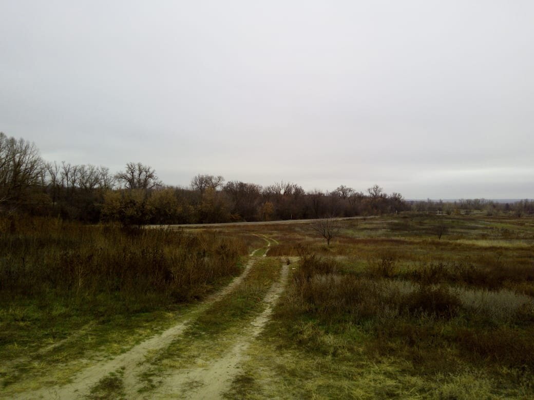   Песчаная дорога ведет от трассы, прямиком в сосновый бор