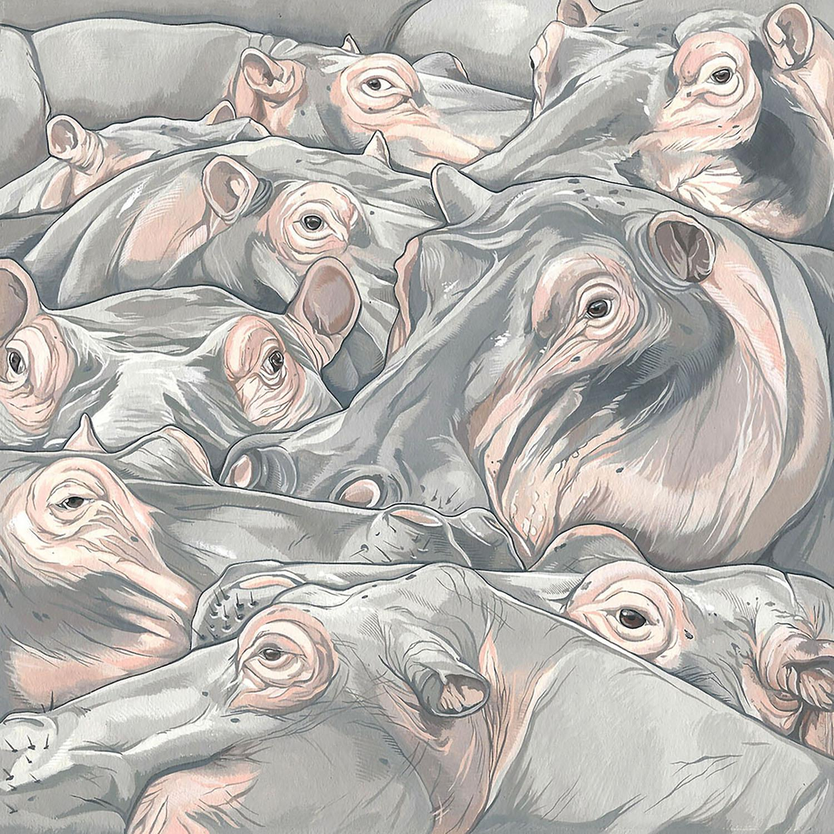 Добавьте описание