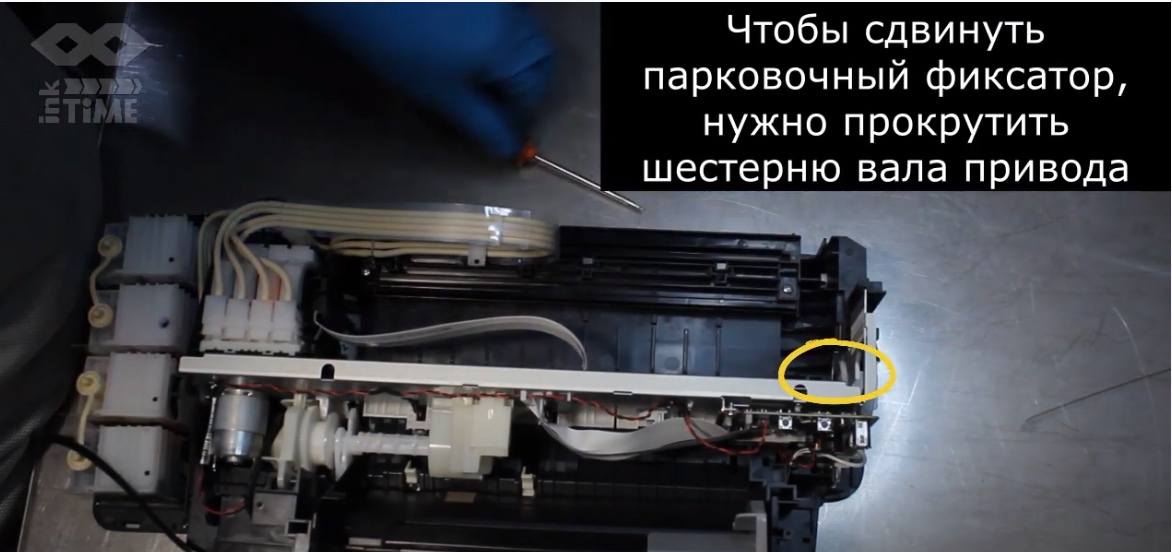Как промыть пищевой принтер?