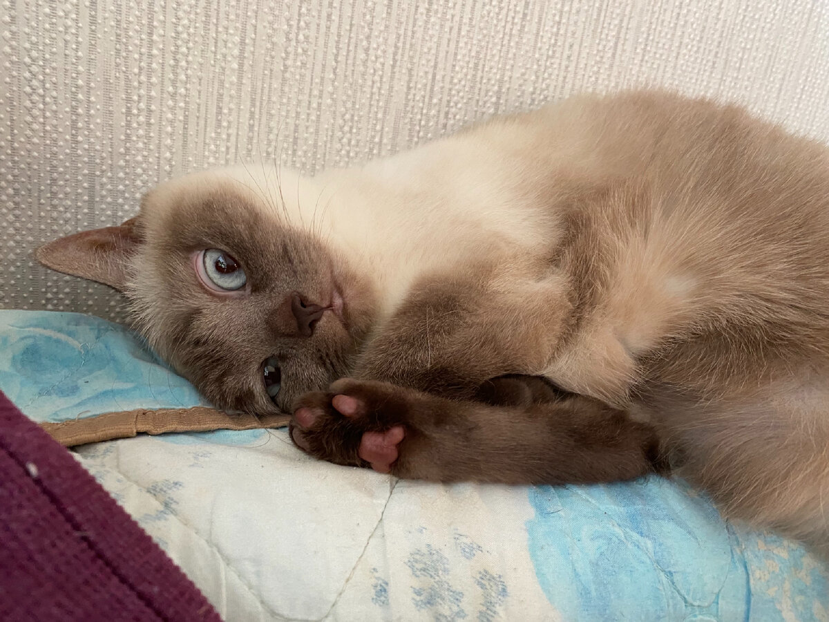 Мое лицо, когда старшая дочь мне про аниме рассказывает😂. Фото автора