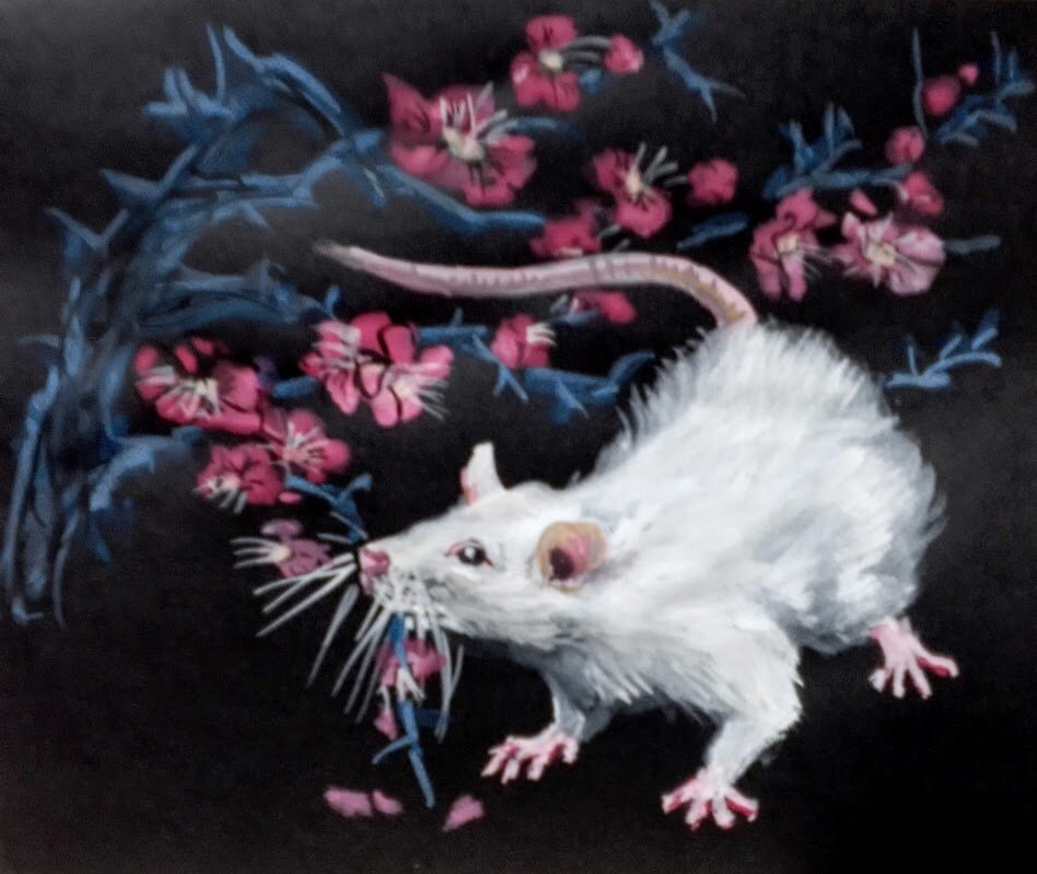 Открытка "Крыса и цветы сливы" Китайская тушь, минеральные краски, графитовая бумага 16,5 Х 19,0