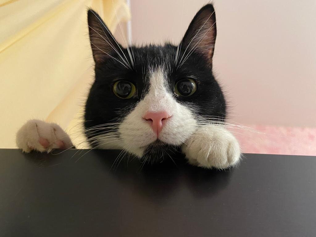 Фото из дома. Макс