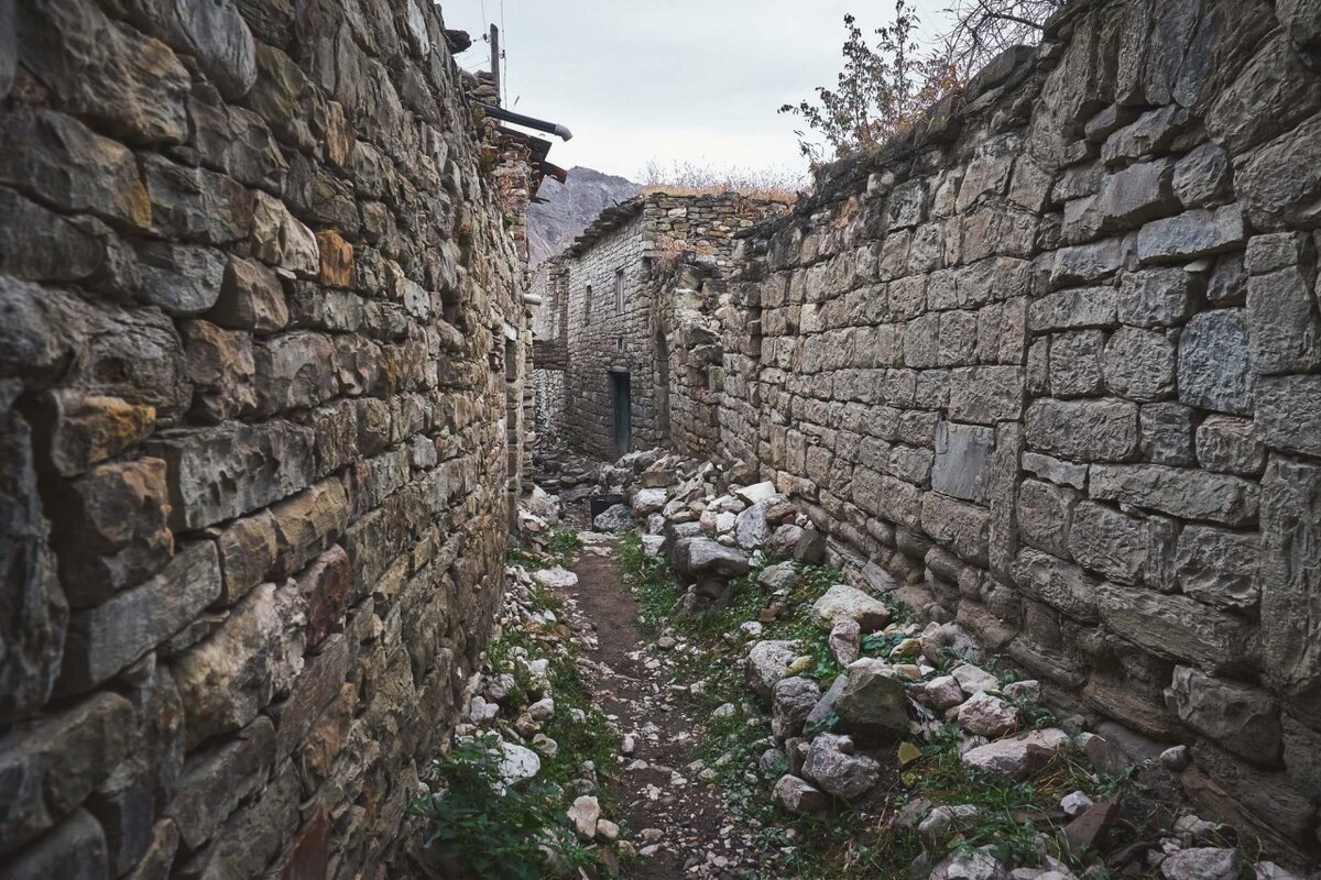 Фото: shutterstock.com