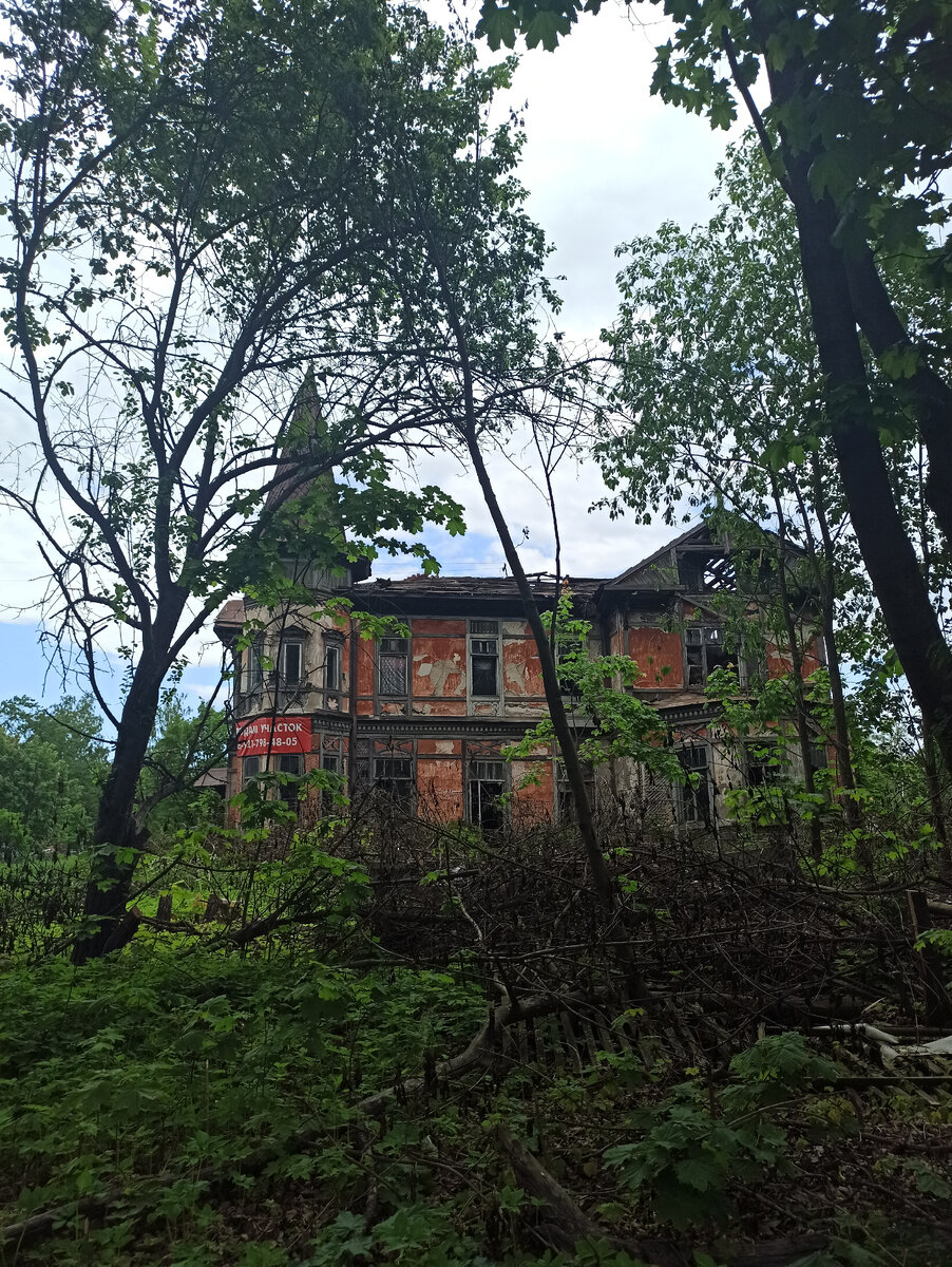 Дача Ташейт, спрятанная за деревьями (вид с Лахтинского пр.)