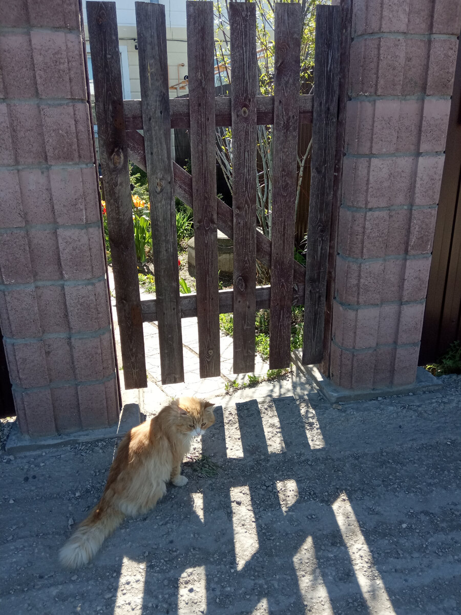 Фото автора. 