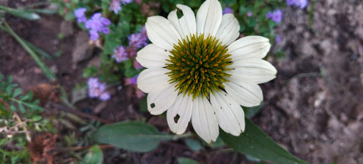 Фото автора канала