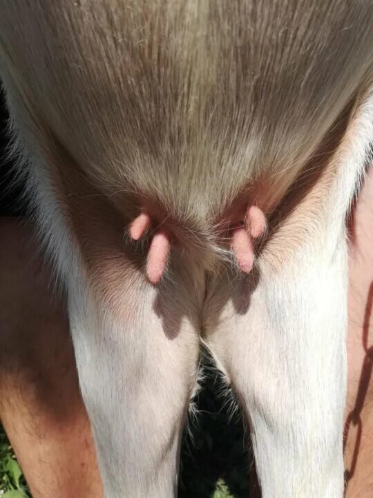 Фото с сайта Яндекс картинки. 