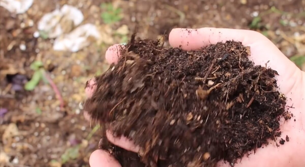 Структура перегноя