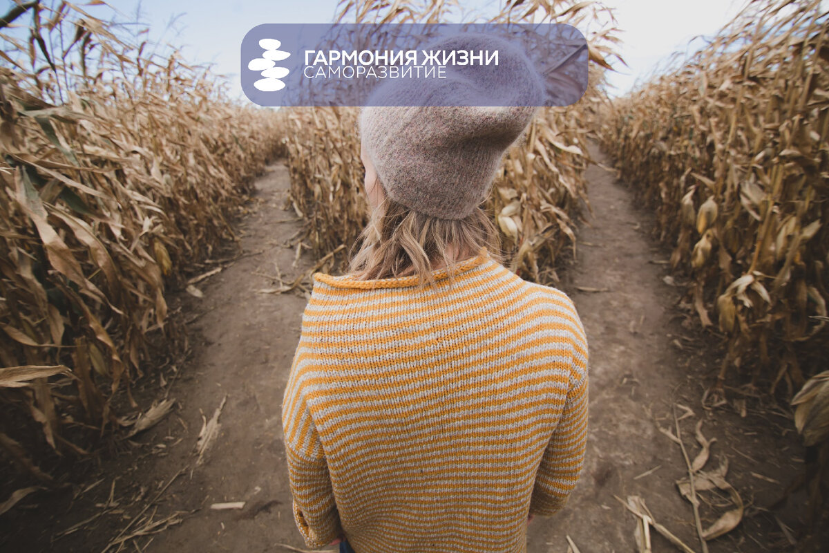 Photo by Burst on Unsplash