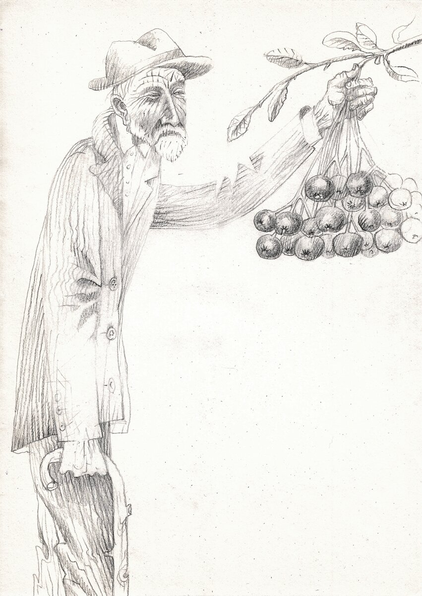 Иллюстрация Петра Перевезенцева