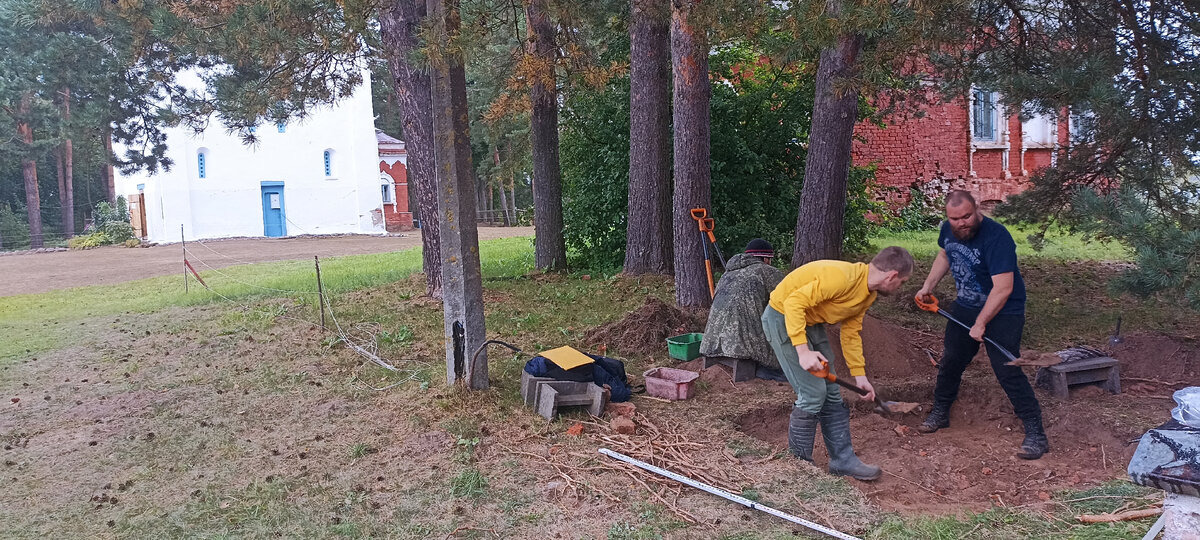 раскопки под елочкой (да я знаю, что это сосна)