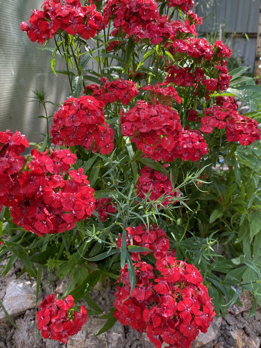 личное