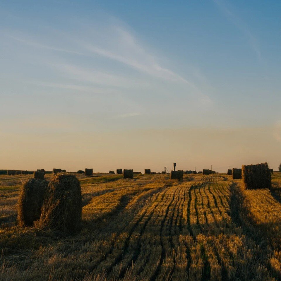     Фото: Алина Курнявцева, участница конкурса «МИР выглядит ярко».