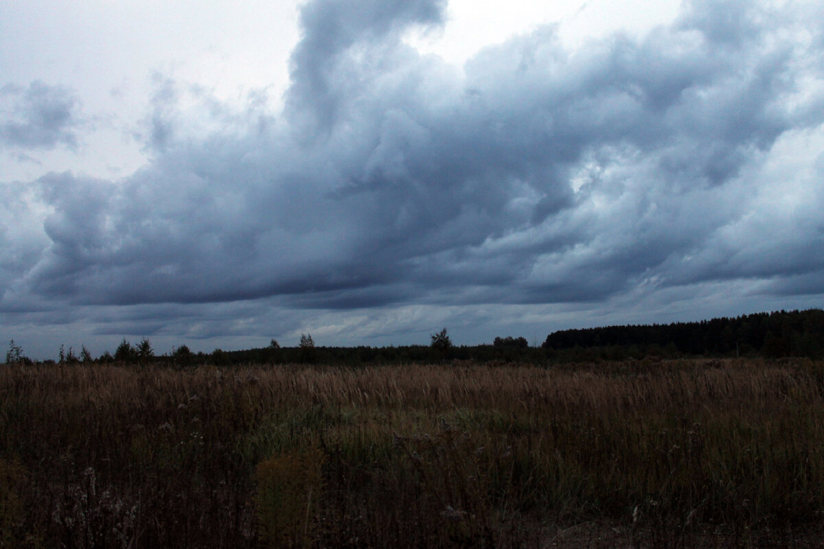 Фото после редакции в программе Фотошоп, автотон, автоконтраст.