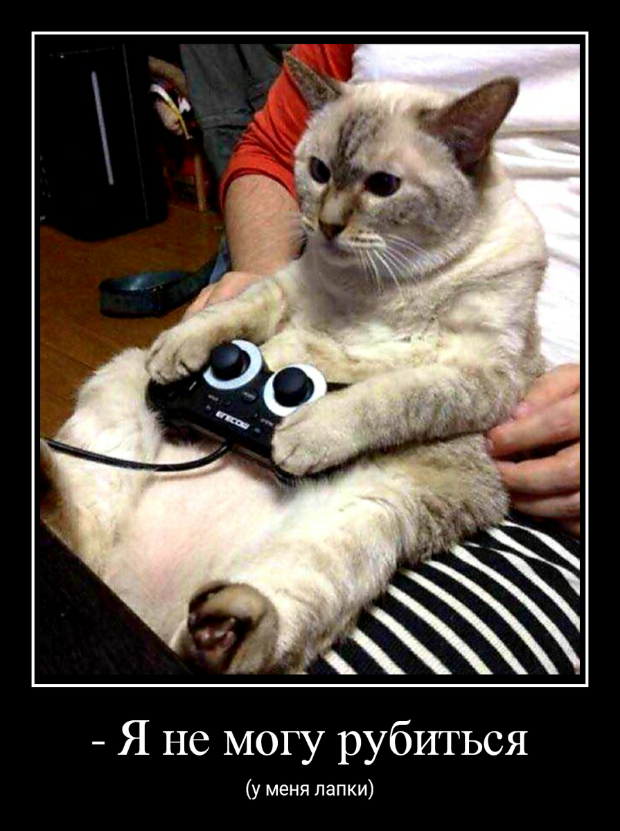 Реальность 